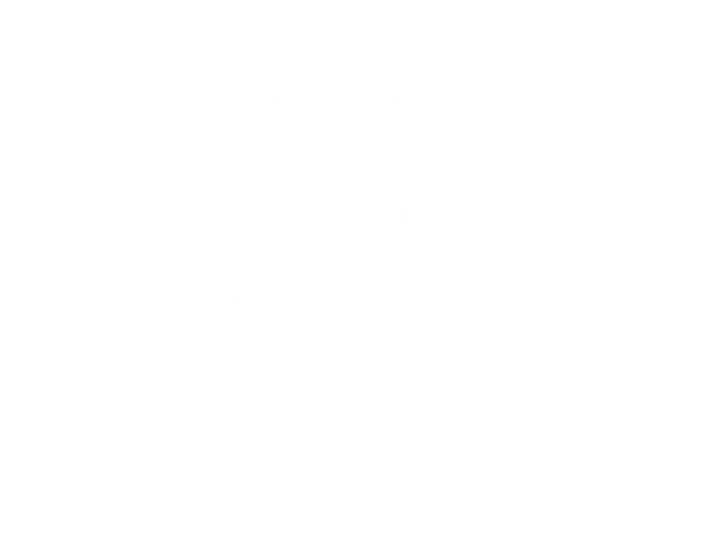 Giovana Ferreira – Designer